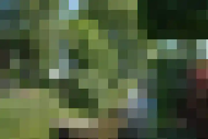Zijdwerk 29 Zwaagdijk-Oost thumbnail 35