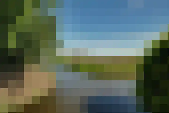 Zijdwerk 29 Zwaagdijk-Oost thumbnail 36