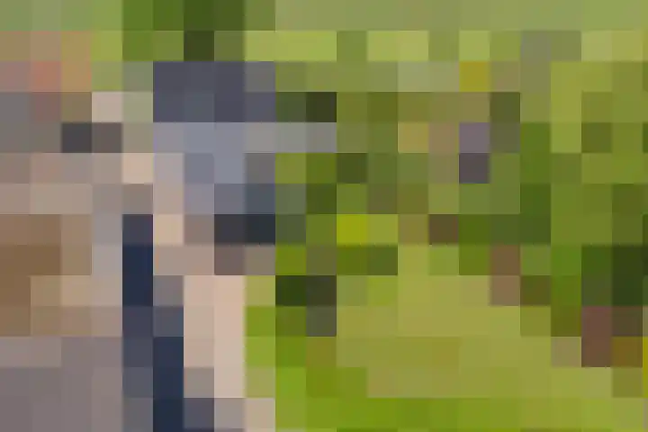 Zijdwerk 29 Zwaagdijk-Oost thumbnail 37