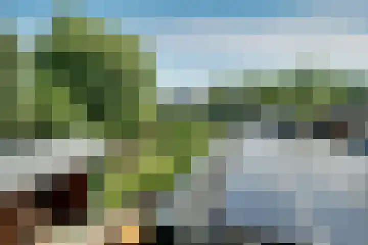 Zijdwerk 29 Zwaagdijk-Oost thumbnail 38
