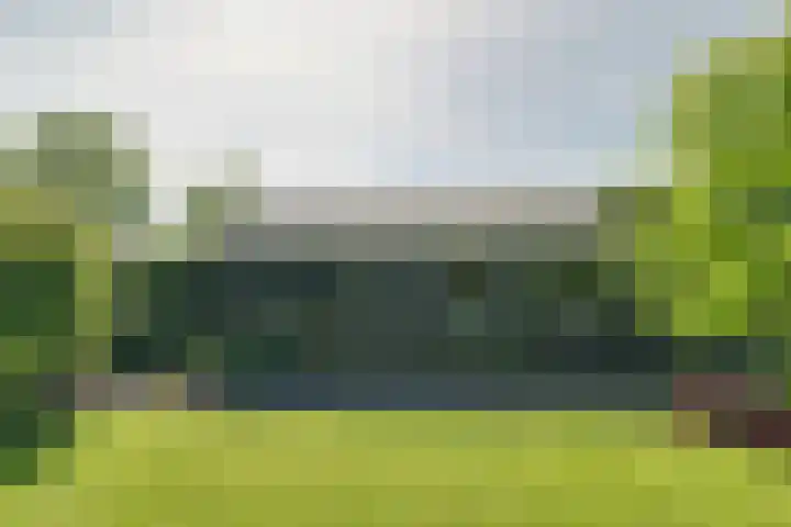 Zijdwerk 29 Zwaagdijk-Oost thumbnail 39