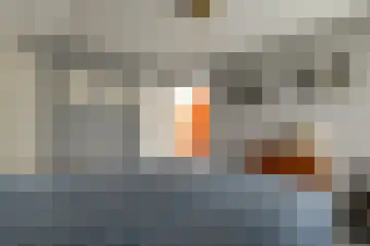 Zijdwerk 29 Zwaagdijk-Oost thumbnail 48