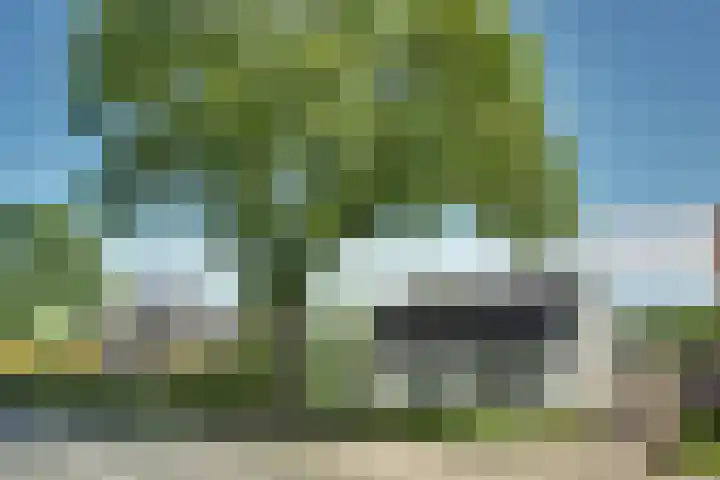 Zijdwerk 29 Zwaagdijk-Oost thumbnail 57