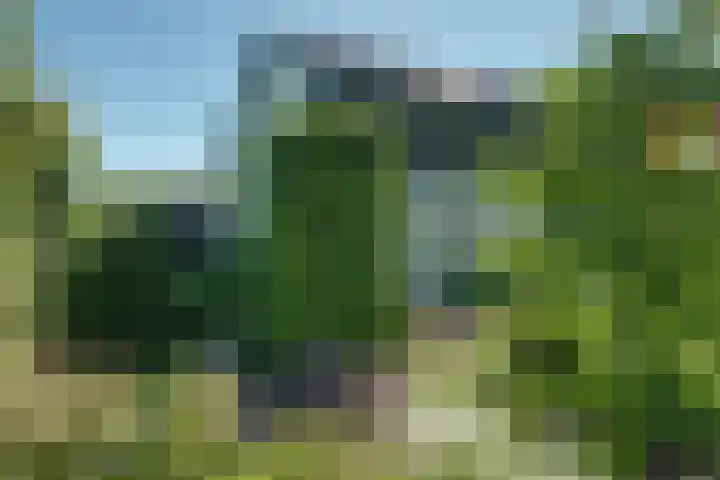 Zijdwerk 29 Zwaagdijk-Oost thumbnail 58