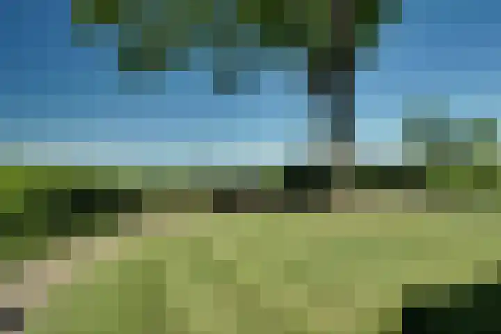 Zijdwerk 29 Zwaagdijk-Oost thumbnail 59