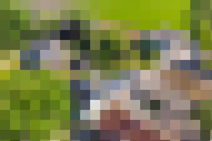 Zijdwerk 29 Zwaagdijk-Oost thumbnail 6