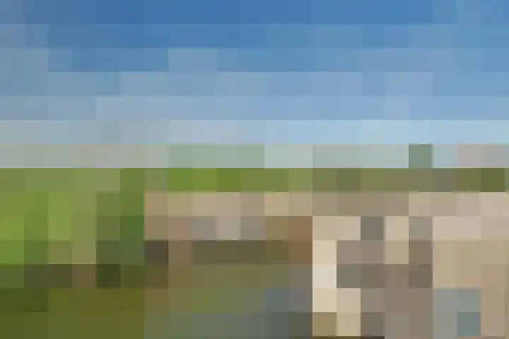 Zijdwerk 29 Zwaagdijk-Oost thumbnail 60