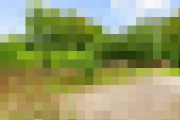 Zijkanaal C 8 a Spaarndam thumbnail 10