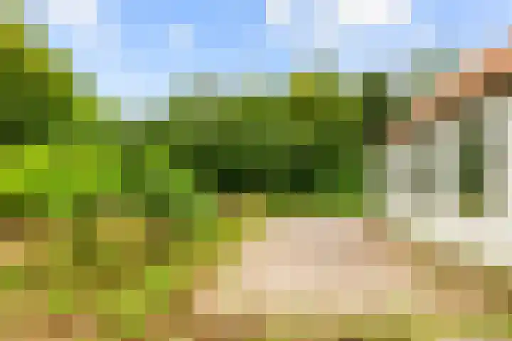 Zijkanaal C 8 a Spaarndam thumbnail 11