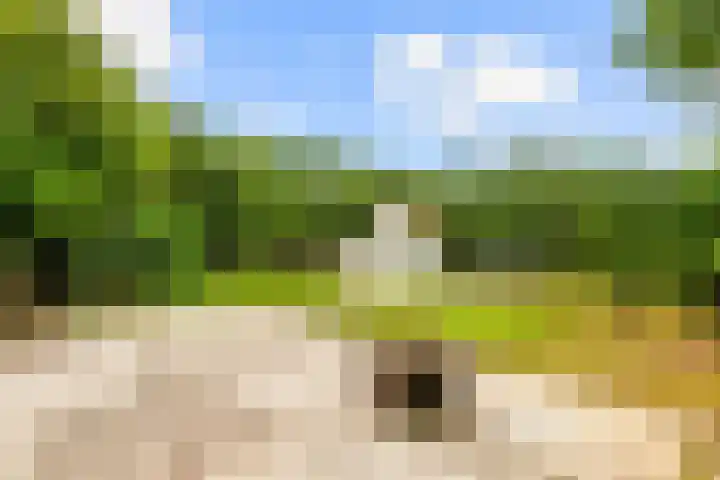 Zijkanaal C 8 a Spaarndam thumbnail 12