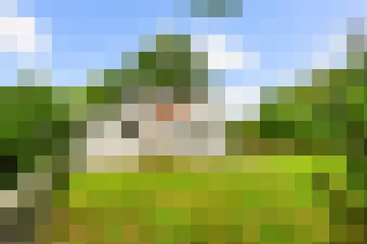 Zijkanaal C 8 a Spaarndam thumbnail 13