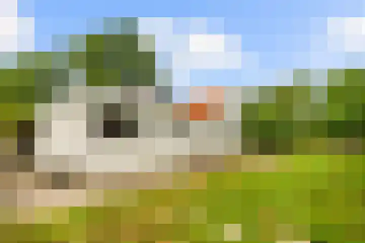 Zijkanaal C 8 a Spaarndam thumbnail 14
