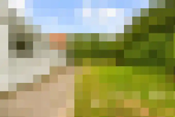 Zijkanaal C 8 a Spaarndam thumbnail 15