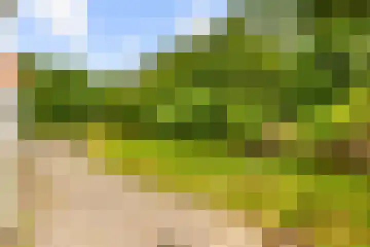 Zijkanaal C 8 a Spaarndam thumbnail 16