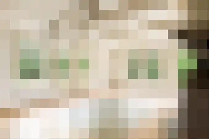 Zijkanaal C 8 a Spaarndam thumbnail 18