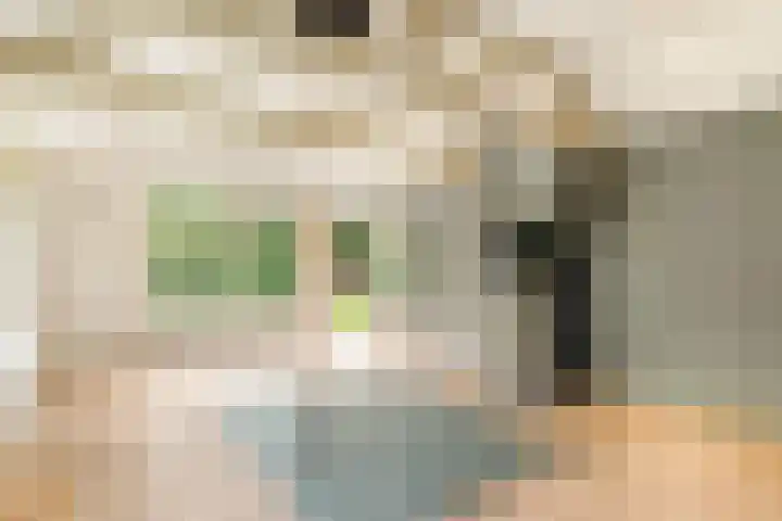 Zijkanaal C 8 a Spaarndam thumbnail 19