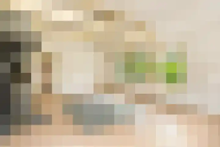 Zijkanaal C 8 a Spaarndam thumbnail 21