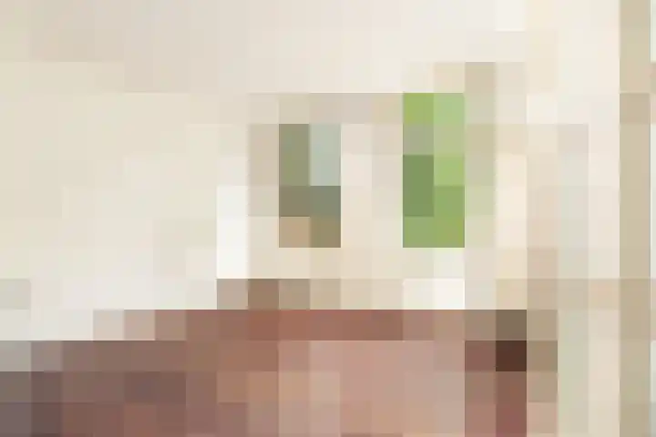 Zijkanaal C 8 a Spaarndam thumbnail 23