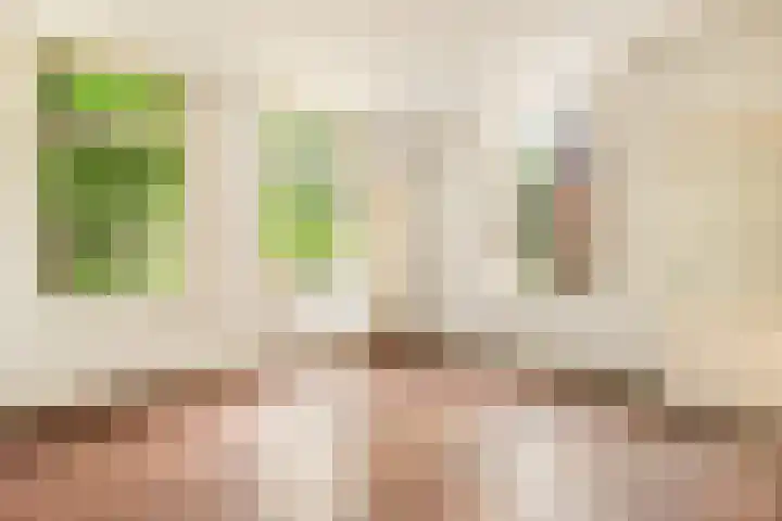 Zijkanaal C 8 a Spaarndam thumbnail 26