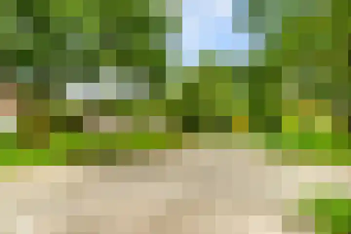 Zijkanaal C 8 a Spaarndam foto 3