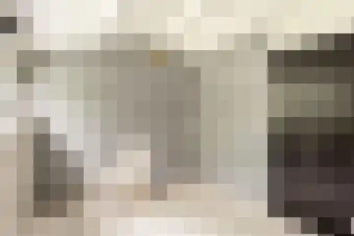 Zijkanaal C 8 a Spaarndam thumbnail 35