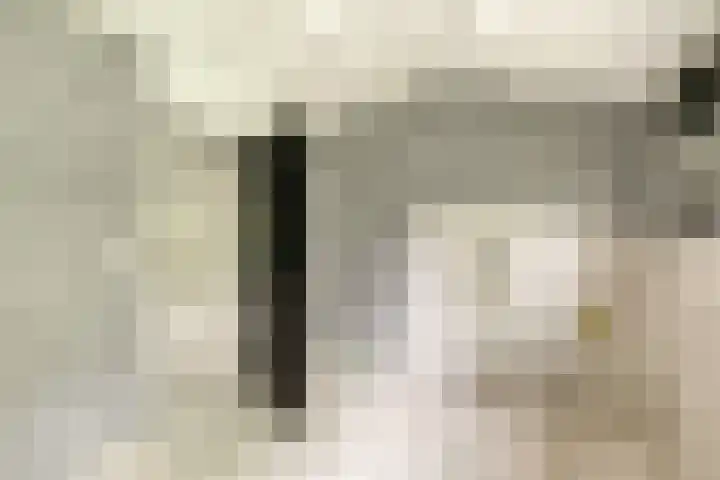 Zijkanaal C 8 a Spaarndam thumbnail 36
