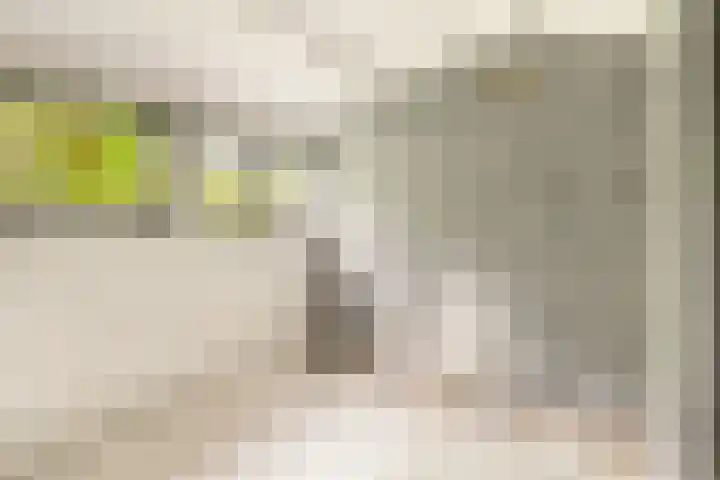Zijkanaal C 8 a Spaarndam thumbnail 37