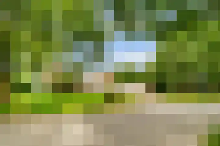 Zijkanaal C 8 a Spaarndam thumbnail 4