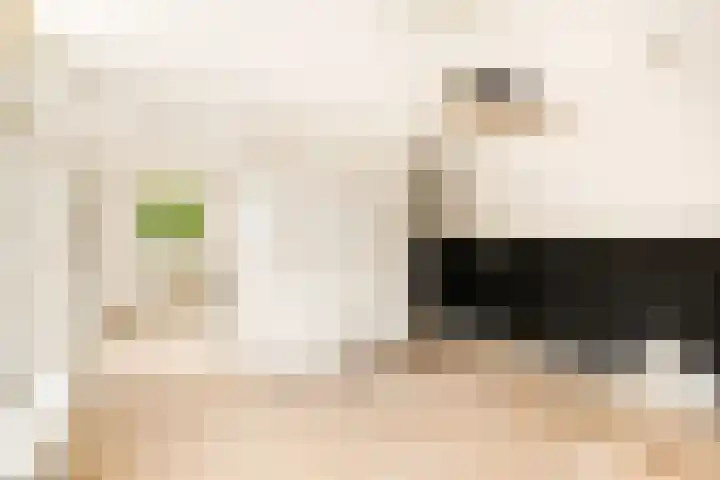Zijkanaal C 8 a Spaarndam thumbnail 45