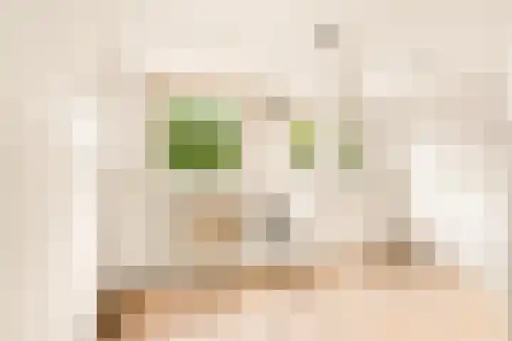 Zijkanaal C 8 a Spaarndam thumbnail 47
