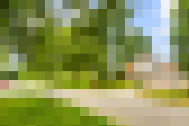 Zijkanaal C 8 a Spaarndam thumbnail 5