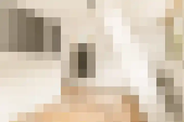 Zijkanaal C 8 a Spaarndam thumbnail 50