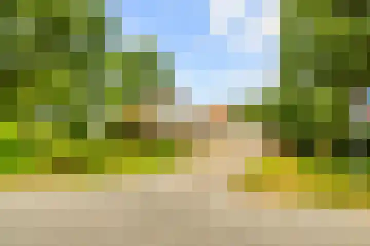 Zijkanaal C 8 a Spaarndam thumbnail 6