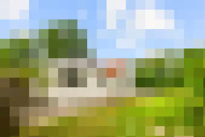 Zijkanaal C 8 a Spaarndam thumbnail 7