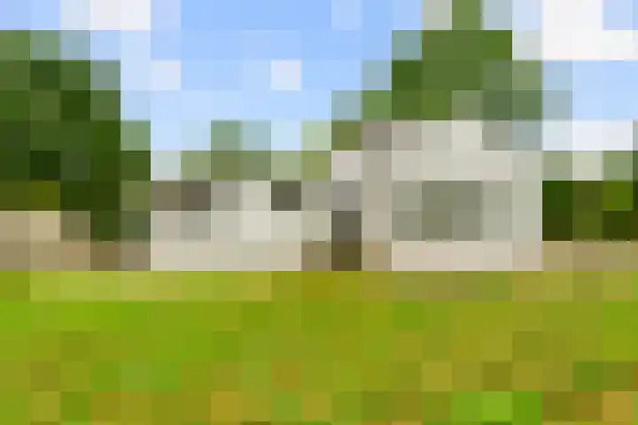 Zijkanaal C 8 a Spaarndam thumbnail 8