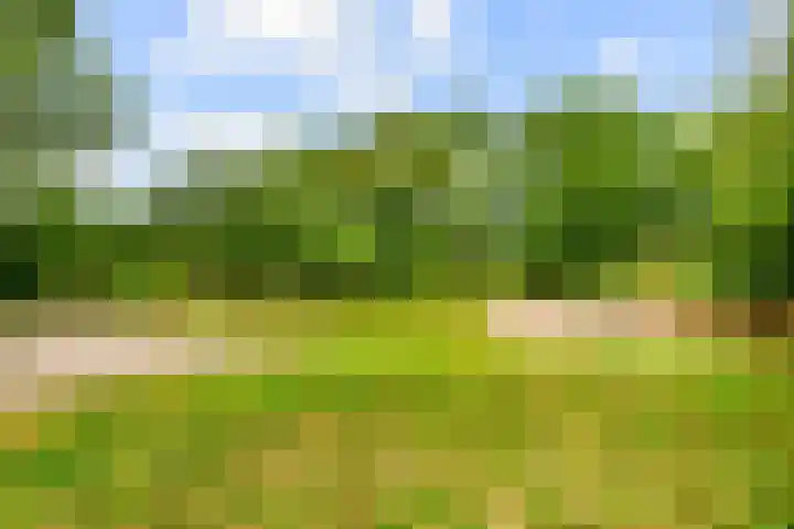Zijkanaal C 8 a Spaarndam thumbnail 9