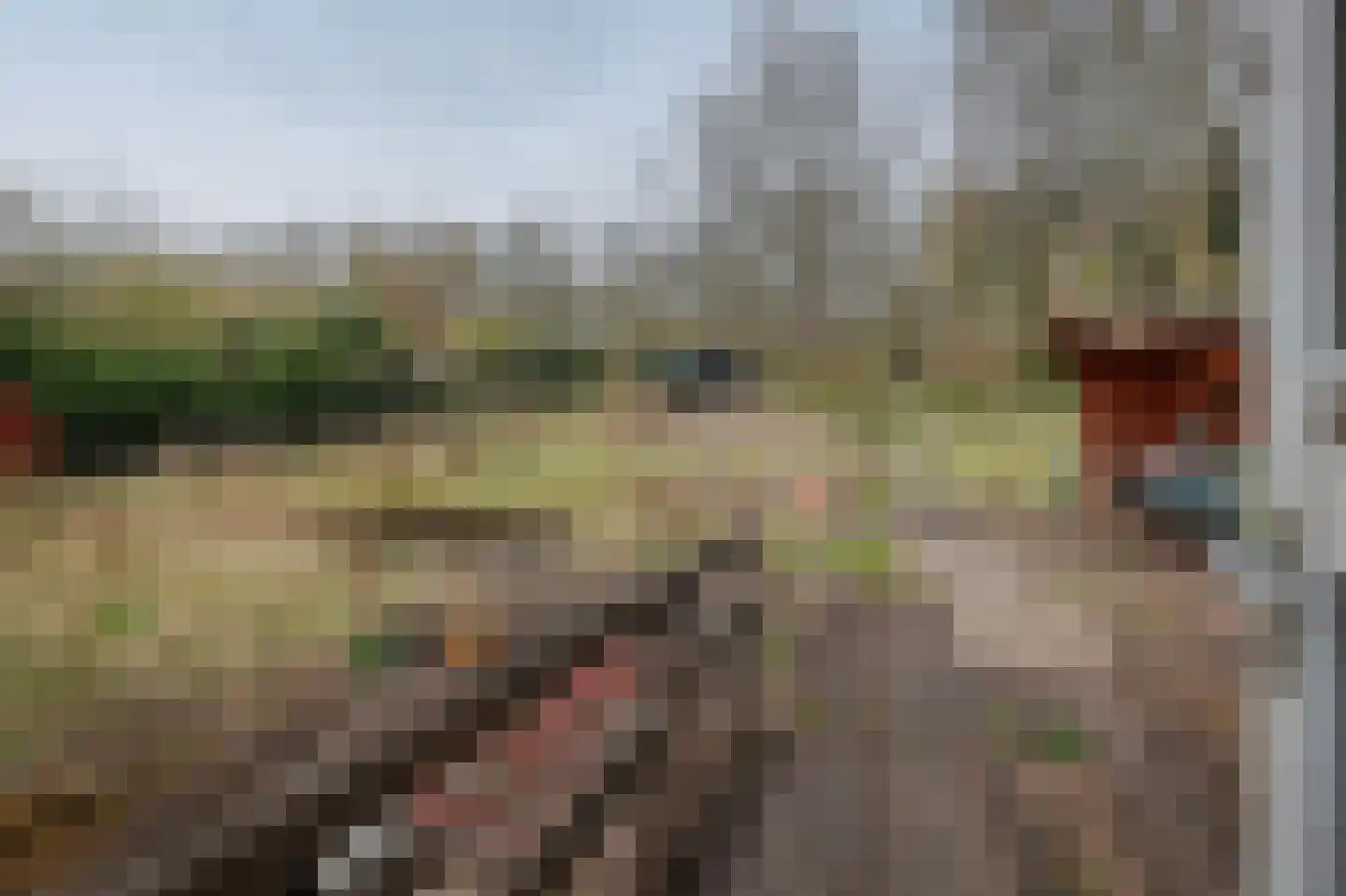 Zijkanaal F West 28 Halfweg thumbnail 16