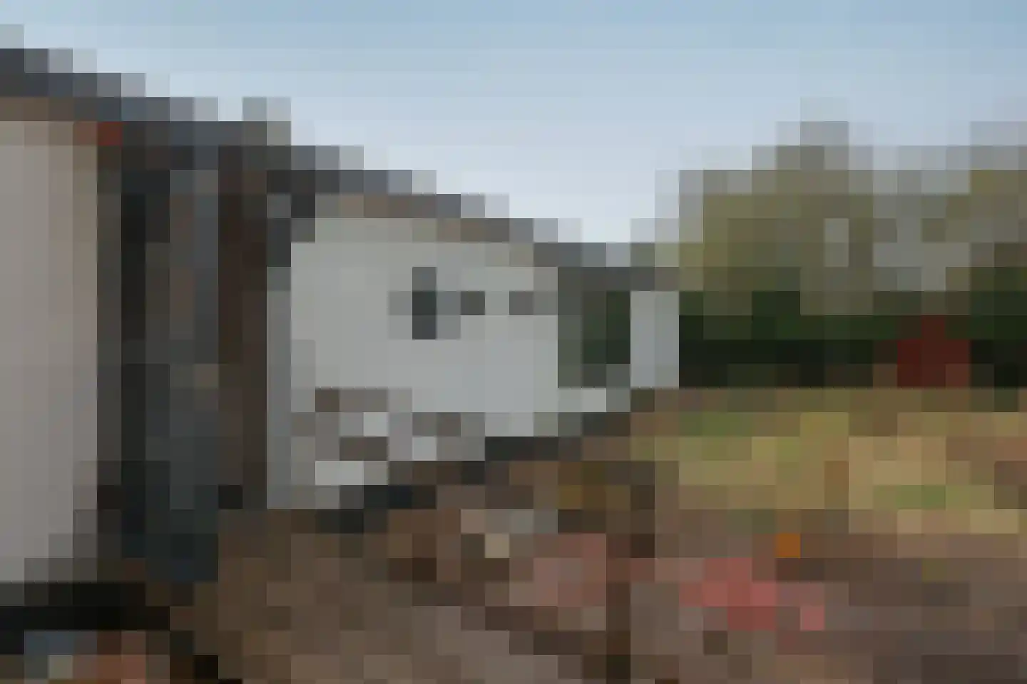 Zijkanaal F West 28 Halfweg thumbnail 17