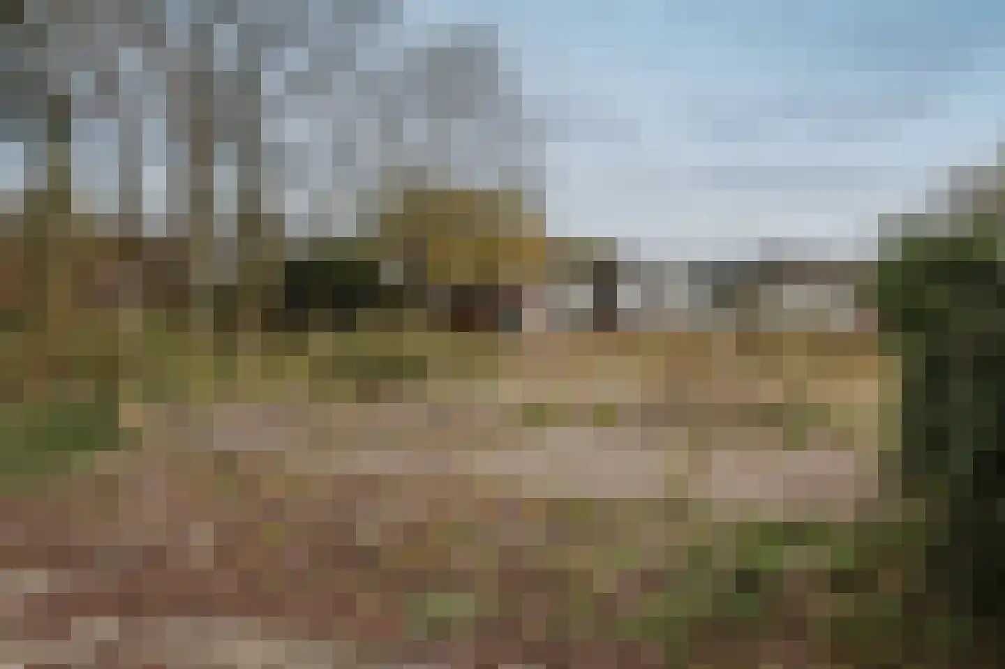 Zijkanaal F West 28 Halfweg thumbnail 29