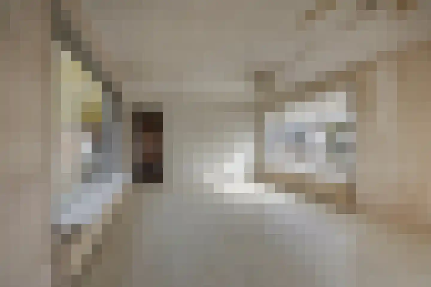 Zijkanaal F West 28 Halfweg thumbnail 4