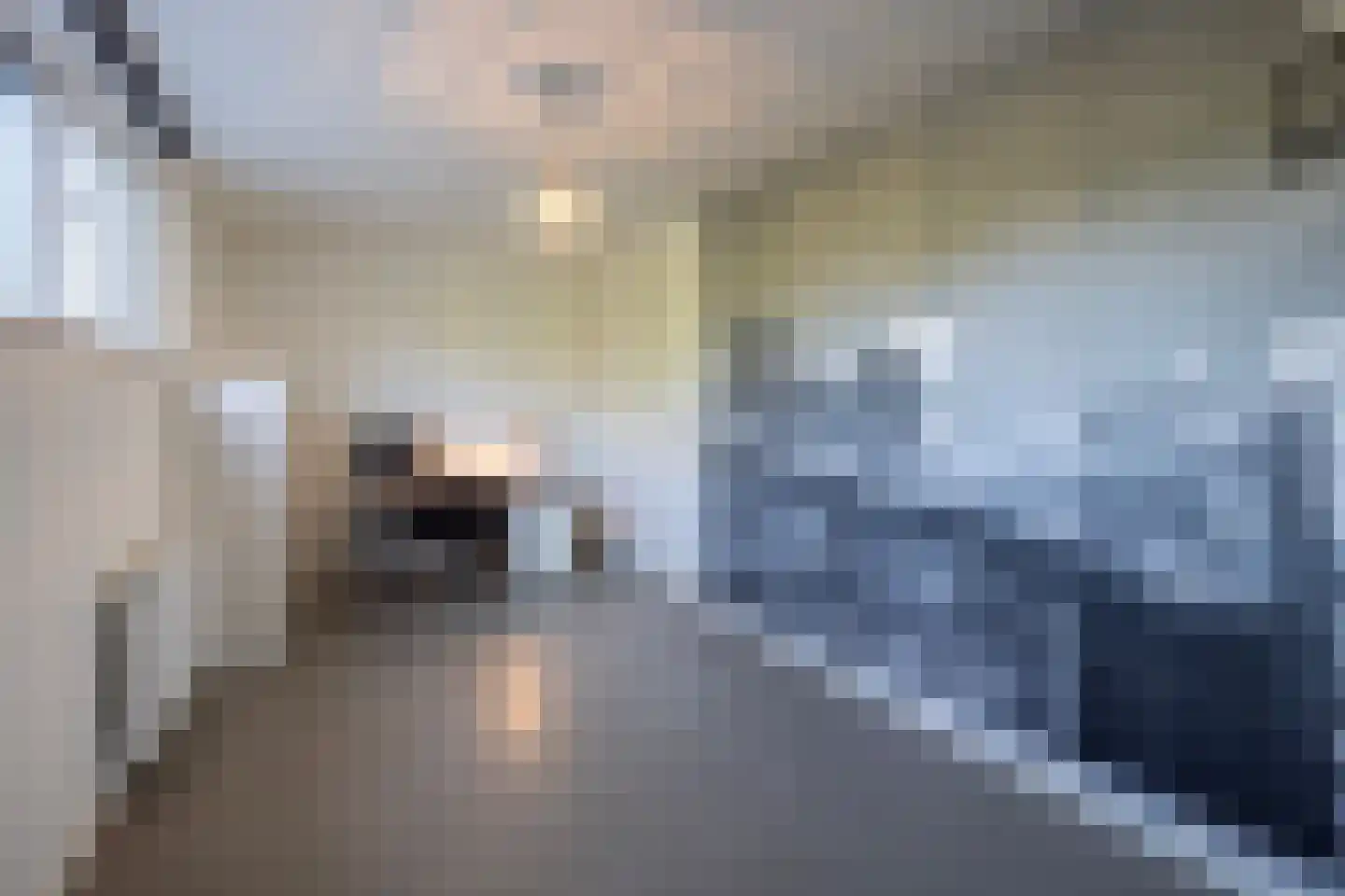 Zijkanaal H-weg 32 Amsterdam thumbnail 18