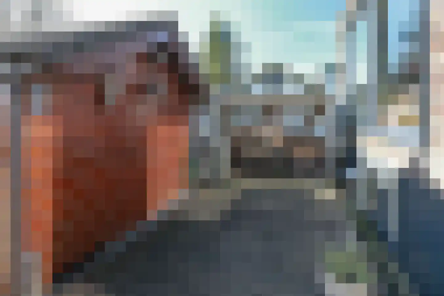 Zijkanaal H-weg 32 Amsterdam thumbnail 50