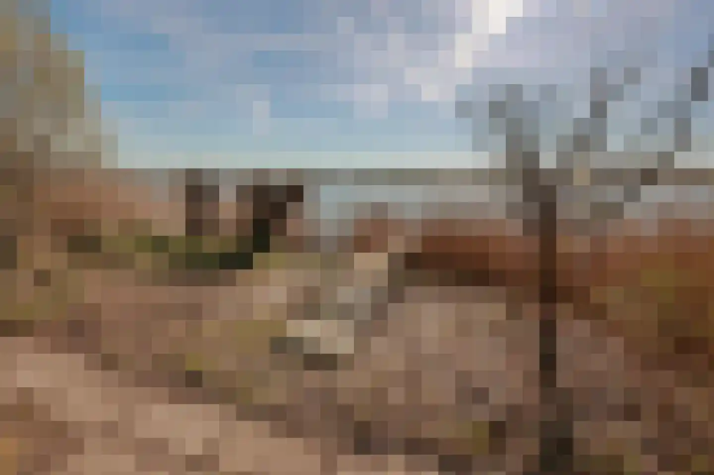 Zijkanaal H-weg 32 Amsterdam thumbnail 53