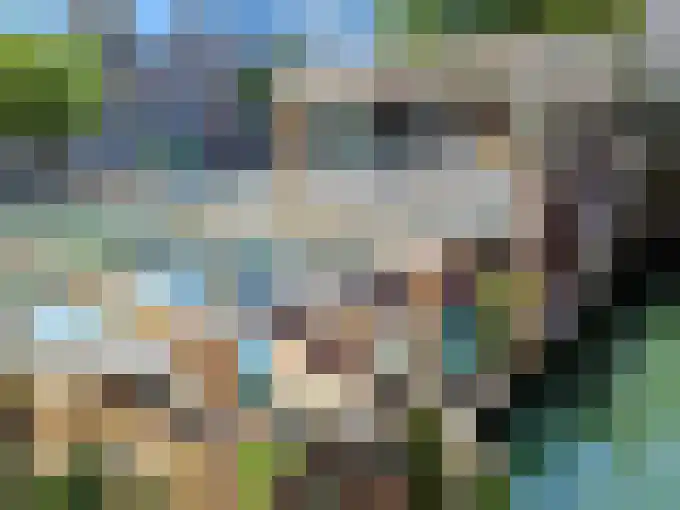 Zijl 1 C Rotterdam thumbnail 38