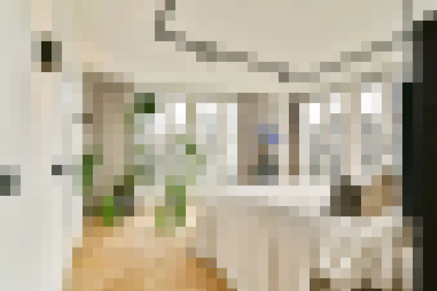 Zijl 10 B Rotterdam thumbnail 31