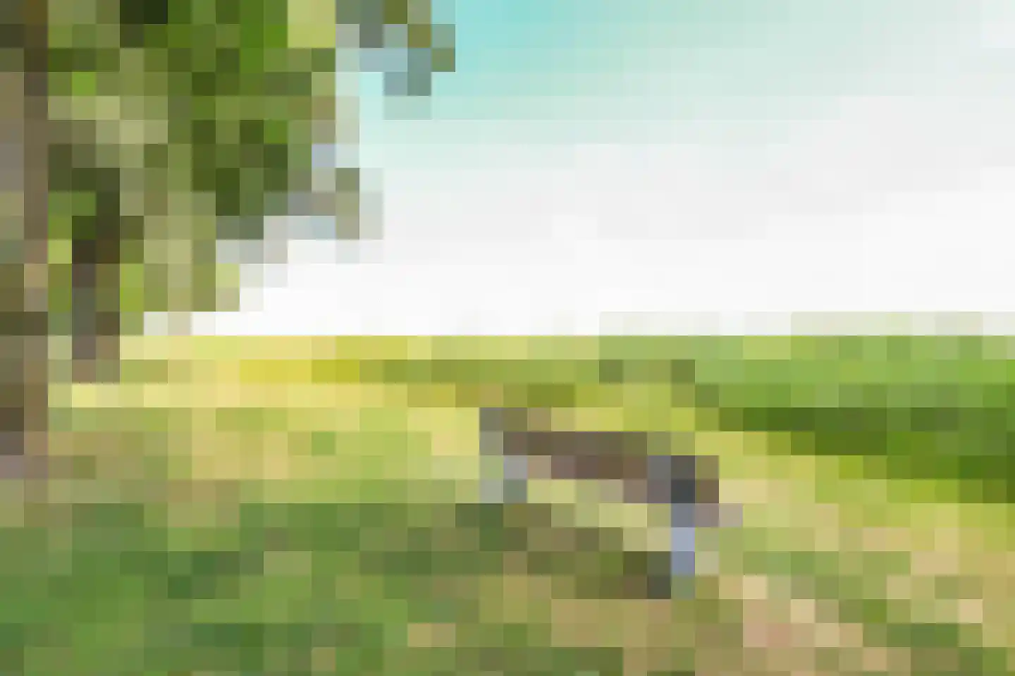 Zijl 21 Bergen (NH) thumbnail 38