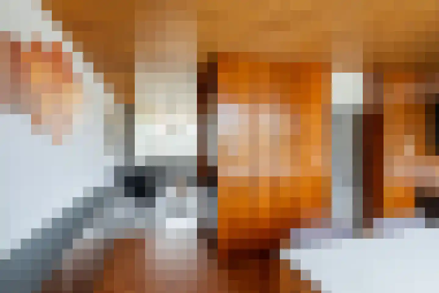 Zijl 3 C Rotterdam thumbnail 10