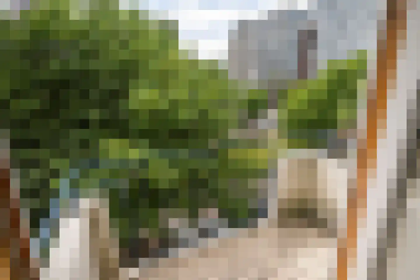 Zijl 3 C Rotterdam thumbnail 27