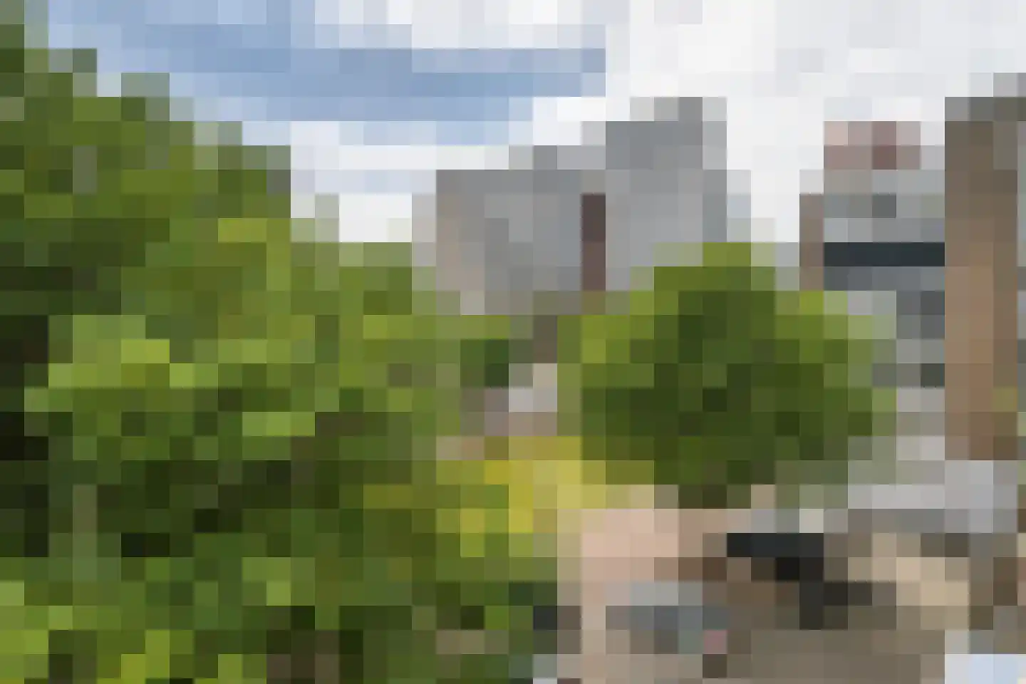 Zijl 3 C Rotterdam thumbnail 30