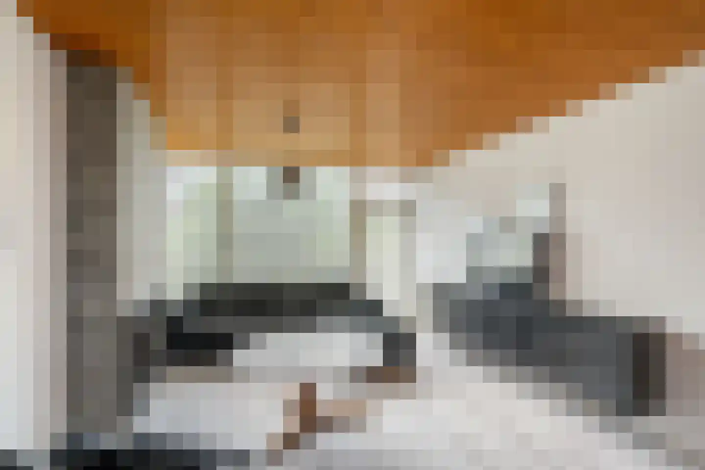 Zijl 3 C Rotterdam thumbnail 6